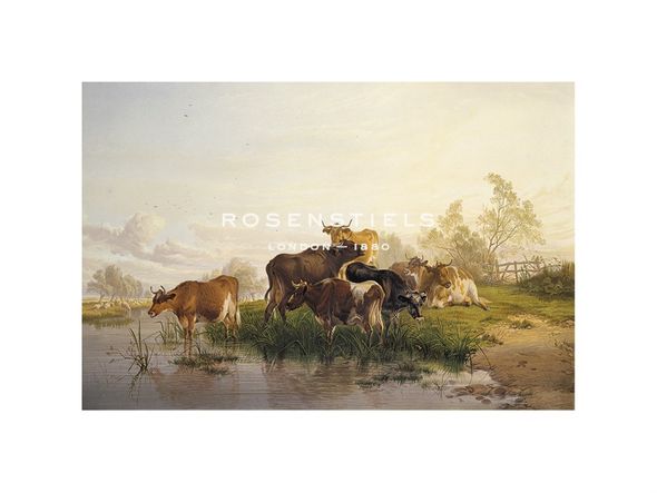 Thomas Cooper Hand Numbered Limited Edition Print on Paper :"Cows in the Water Meadows"