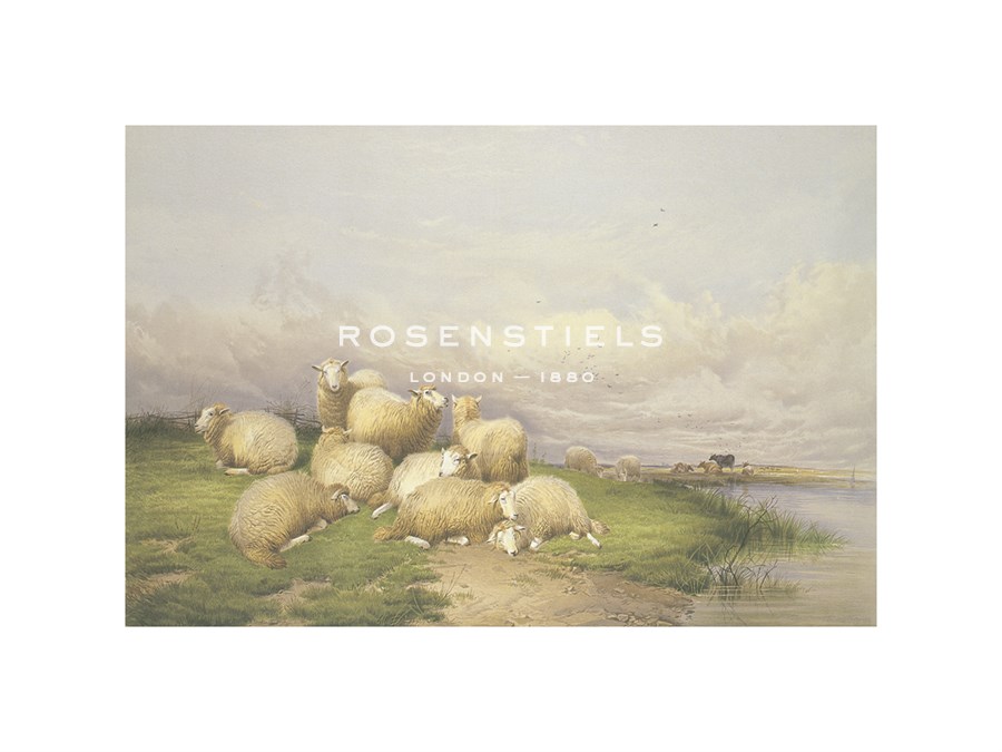 Thomas Cooper Hand Numbered Limited Edition Print on Paper :"Sheep in the Water Meadows"
