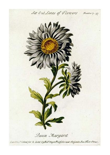 Thomas Parkinson Fine Art Open Edition Gicl&eacute;e:"Queen Margaret"