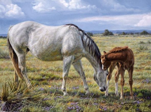 Tim Cox Artist Hand-Signed and Numbered Limited Edition Canvas:"Horse Whisperer"