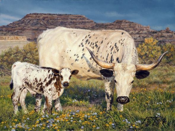Tim Cox Artist  Artist Signed Ltd Edition Canvas:"Spring (Longhorn and Calf)"