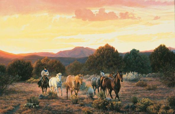 Tim Cox Artist Signed Limited Edition Print :"Evening Glow"