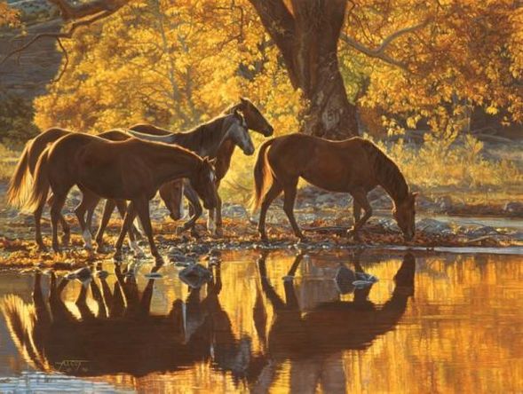 Tim Cox Artist Signed Limited Edition Canvas:"Autumn's Amber Glow"