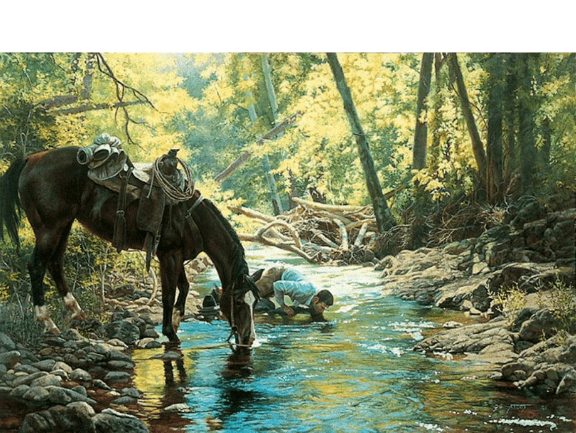 Tim Cox Artist Proof Signed Limited Edition Canvas :"Cooling The Summer Heat"