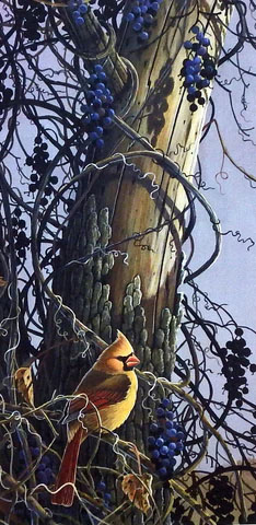 Tim Schultz Print-Signed and Numbered:"Grapevine Lady"