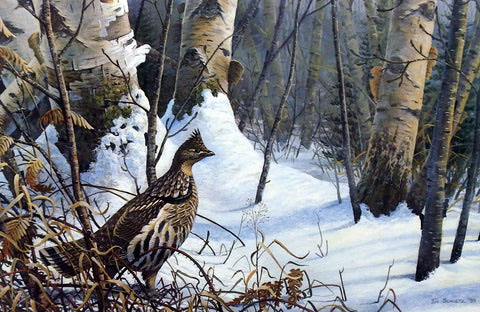 Tim Schultz Print-Signed and Numbered:"Winter Morning Ruffed Grouse"