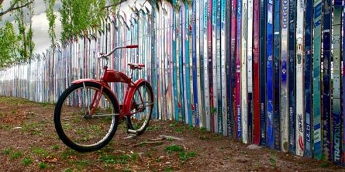 Todd Van Fleet 20 x 40 Canvas Giclee Art:"Ski Fence"