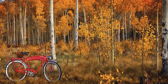 Todd Van Fleet 30 x 60 Open Edition Signed Giclee on Canvas:"Kenosha Pass"