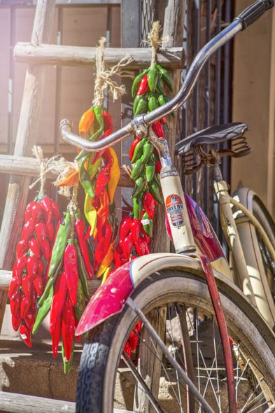 Todd Van Fleet 35.5 23.5 Open Edition Signed Giclee on Canvas:"Hatched"