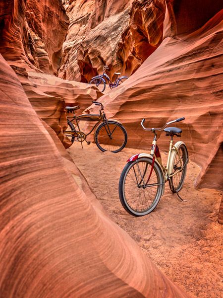 Todd Van Fleet 48 x 36 Open Edition Signed Giclee on Canvas:"Owl Canyon Trio"
