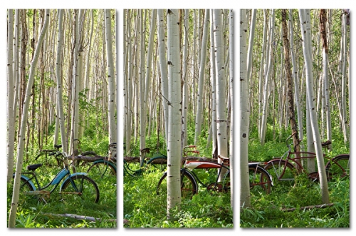 Todd Van Fleet 60 x 90 Canvas Giclee Art:"Aspen Heard Triptych 6090"