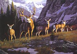 TOM MANSANAREZ  Secondary Market Art: "WARMTH OF DAWN"