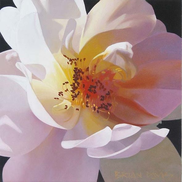 Brian Davis Hand Signed Limited Edition Canvas Giclee:"Glorious Huntington Rose"