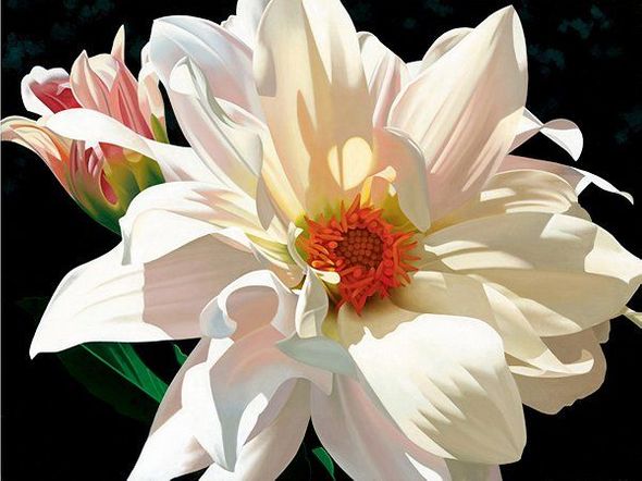 Brian Davis Hand Signed Limited Edition 40x36 Canvas Giclee:"Dahlia Duet" 