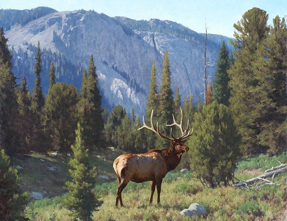 Tucker Smith Hand Signed Limited Canvas Giclee:"The Head of Pine Rock"