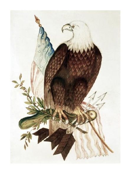 Unknown Fine Art Open Edition Gicl&eacute;e:"Bald Eagle with American Flag"