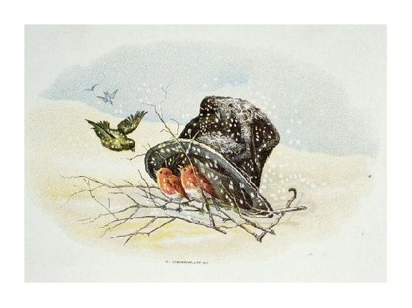 Unknown Fine Art Open Edition Gicl&eacute;e:"Birds Under Top Hat"