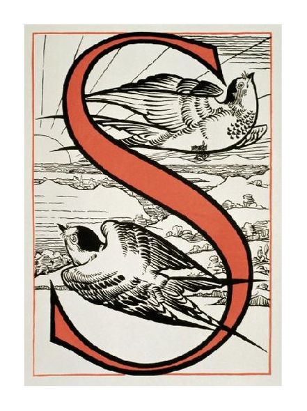 Unknown Fine Art Open Edition Gicl&eacute;e:"The Letter 'S' ( Is for Sparrow, Sun...)"