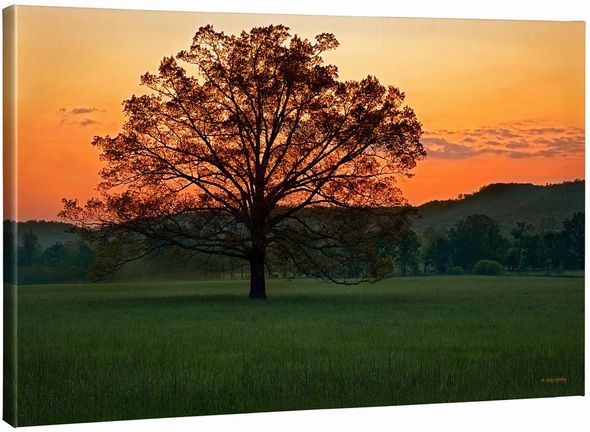 Judy Syring  24x36 Gallery Wrapped Canvas:"Twilight Delight"