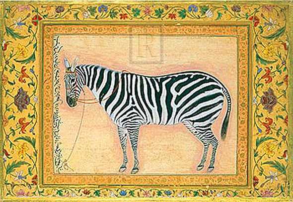 Ustad Mansur Hand Numbered Limited Edition Print on Paper :"Zebra"