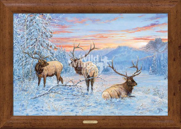 Valeria Yost Open Edition Framed Canvas:"Line Shack - Elk"