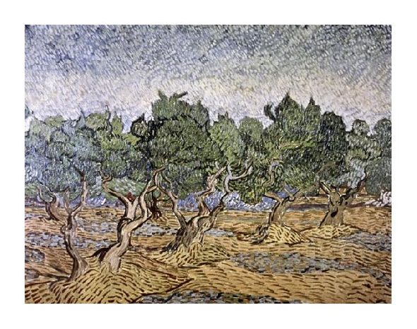 Vincent Van Gogh Fine Art Open Edition Gicl&eacute;e:"Olive Orchard, Violet Soil"