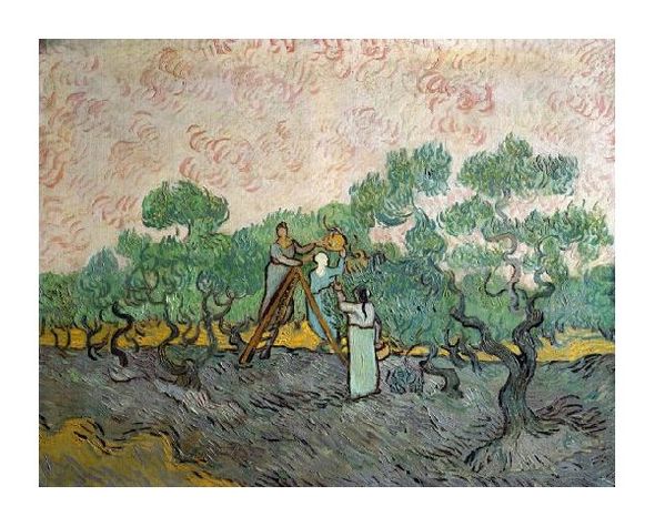 Vincent Van Gogh Fine Art Open Edition Gicl&eacute;e:"Women Picking Olives"