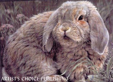 VIVI CRANDALL 17X13 Secondary Market Art: "FUZZ BALL RABBIT"