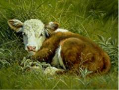 WAYNE BAIZE 20X16 Secondary Market Art: "BEDDED DOWN"