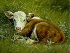 WAYNE BAIZE 20X16 Secondary Market Art: "BEDDED DOWN"