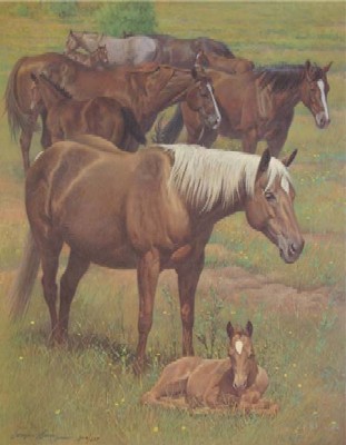 Wayne Baize Hand Signed and Numbered Limited Edition Lithograph On Paper "A time to Rest"