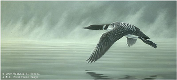 Wilhelm Goebel Limited Edition Paper Print:"Misty Flight - Loon"