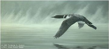 Wilhelm Goebel Limited Edition Paper Print:"Misty Flight - Loon"