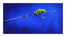 WILL BULLAS 12X6 Secondary Market Art: "CONSULTANT"