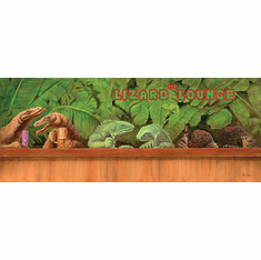 Will Bullas Fine Art Limited Edition Giclee Canvas :"The Lizard Lounge"