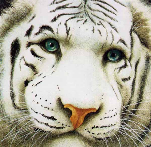 Will Bullas Fine Art Limited Edition Paper :"The Pale Prince"