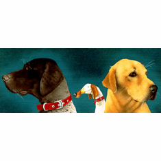 Will Bullas Fine Art Open Edition Canvas :"Bird Dogs"