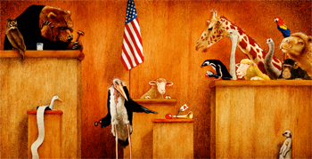 Will Bullas Fine Art Open Edition Canvas :"Ewe is on Trial"