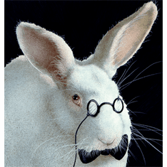 Will Bullas Fine Art Open Edition Canvas :"Harebrain"