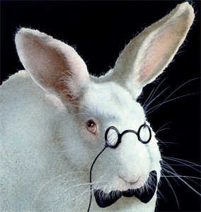 Will Bullas Fine Art Open Edition Canvas :"Harebrain" Will Bullas Fine Art Open Edition Canvas :"Harebrain"