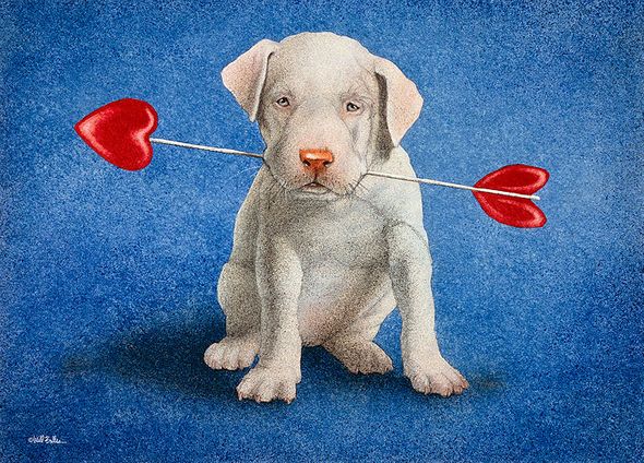 Will Bullas Fine Art Open Edition Canvas :"Puppy Lover"