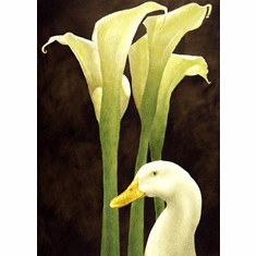 Will Bullas Fine Art Open Edition Canvas :"Lillies of the Field"