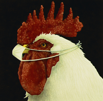 Will Bullas Fine Art Signed and numbered Paper :"Dr. Pecker"