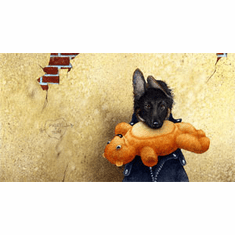 Will Bullas Fine Art Signed Open Edition Canvas :"B.Y.O.B. - Bring Your Own Bear"