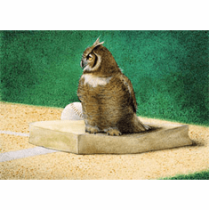 Will Bullas Fine Art Signed Open Edition Canvas :"Hoo's on First"