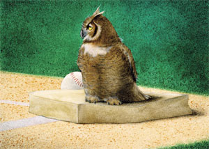 Will Bullas Fine Art Signed Open Edition Canvas :"Hoo's on First"