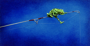 Will Bullas Fine Art Signed Open Edition Canvas :"The Consultant"
