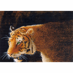 Will Bullas Fine Art Signed Open Edition Paper :"Stripes in the Dark"