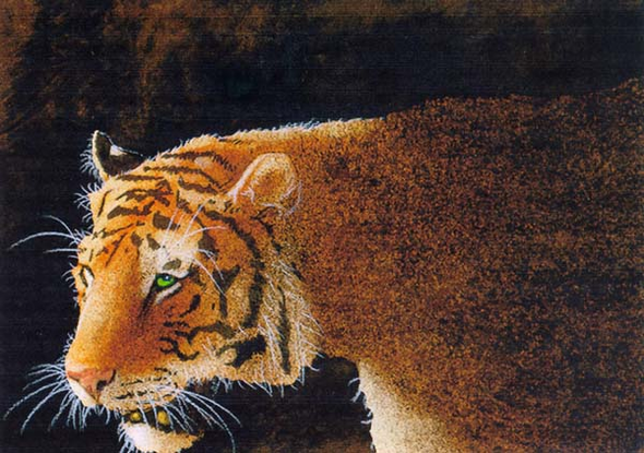 Will Bullas Fine Art Signed Open Edition Paper :"Stripes in the Dark"