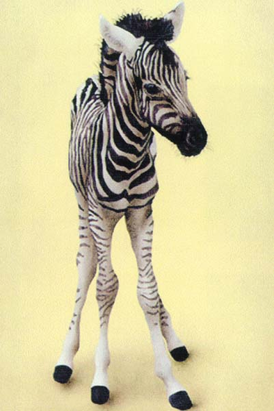 Will Bullas Fine Art Signed Open Edition Paper :"Stripes on Stilts"